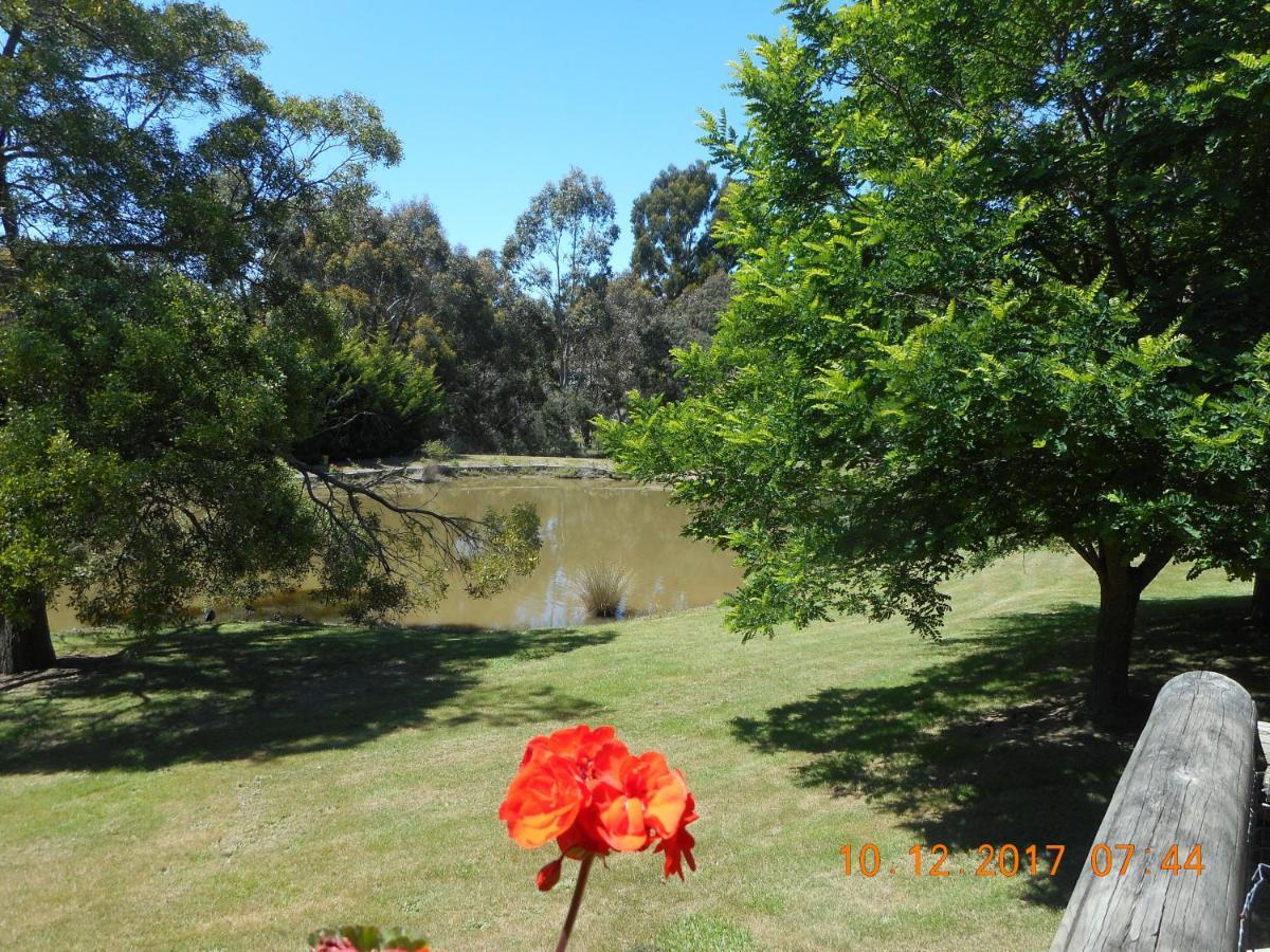 Wurrung B & B - The Cottage Woodend Extérieur photo