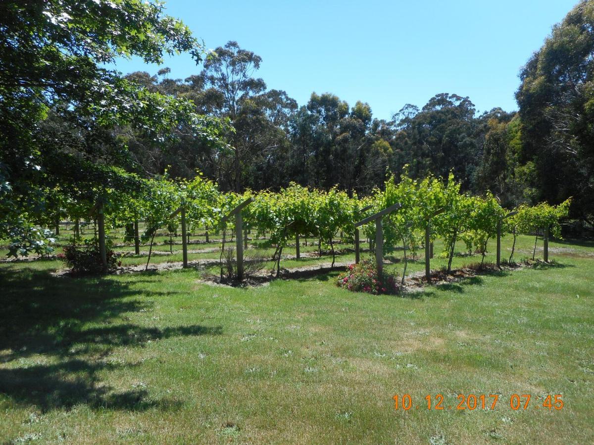 Wurrung B & B - The Cottage Woodend Extérieur photo